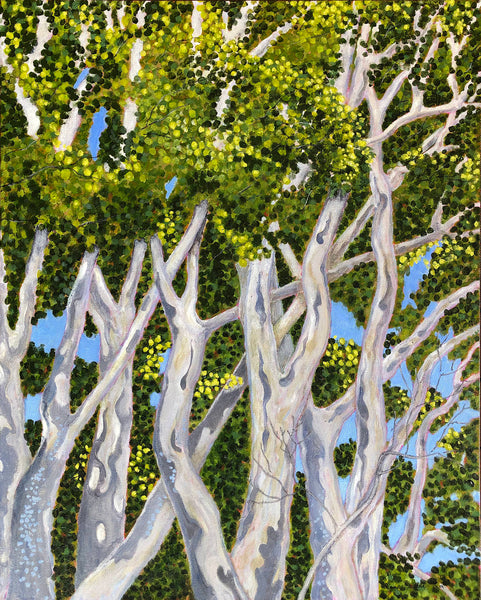 Jane Bridle - Leopard Tree - Looking Up